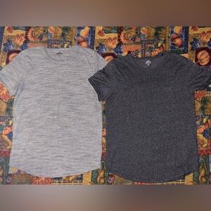 Two brand new Hollister T-shirt, size medium